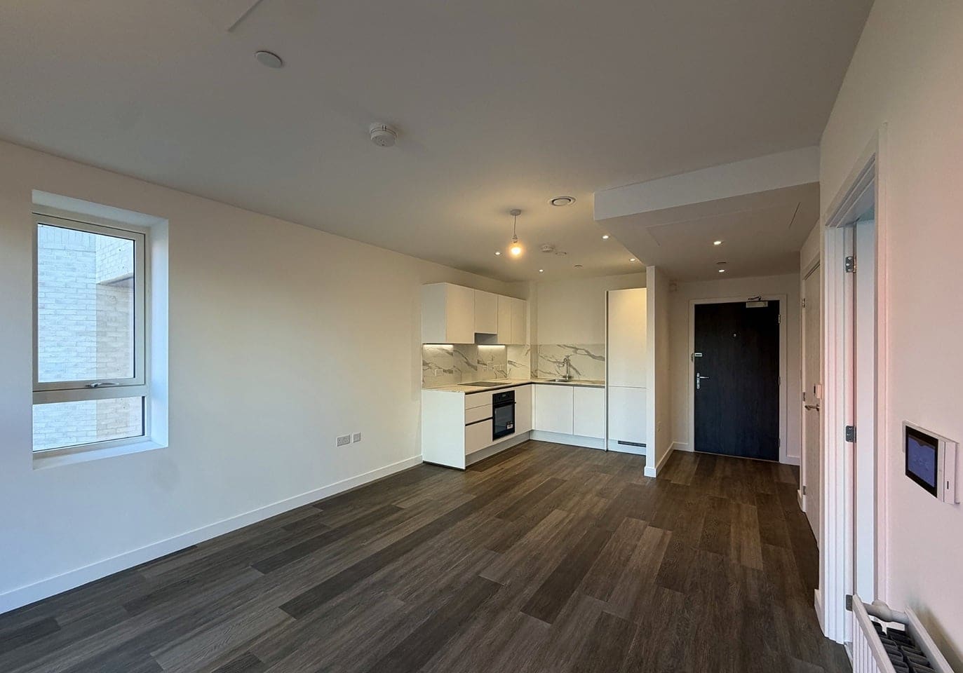 Open-plan living room and kitchen